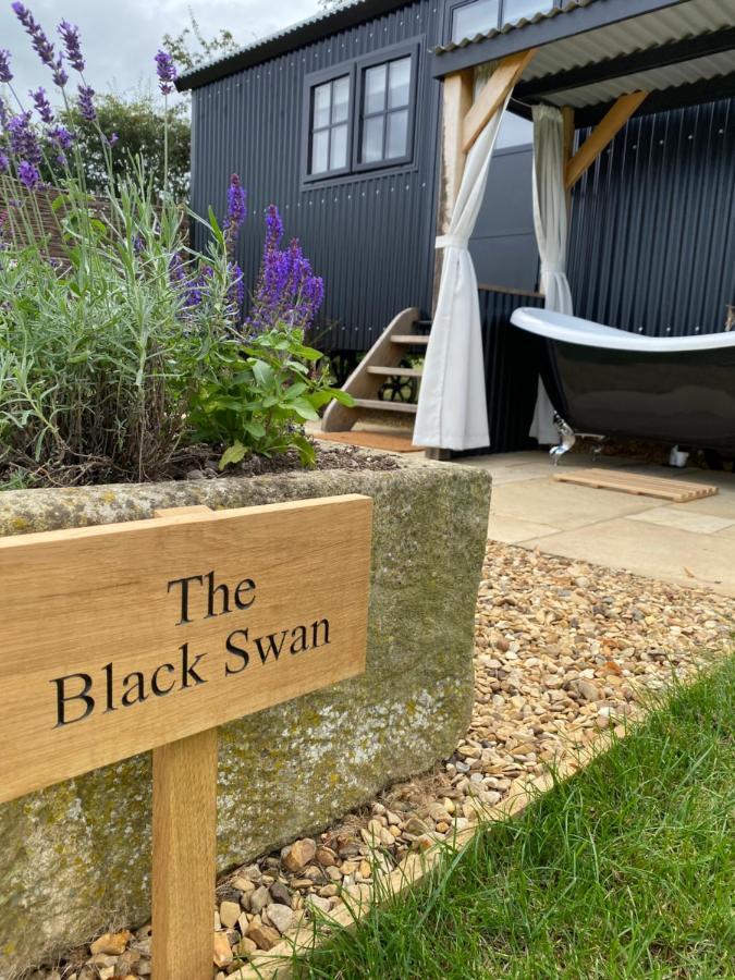 Apartment The Black Swan Shepherd Hut *